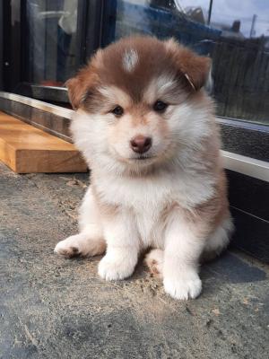 images/J-Wurf/Jill Sander/Jill-Sander-6.jpg